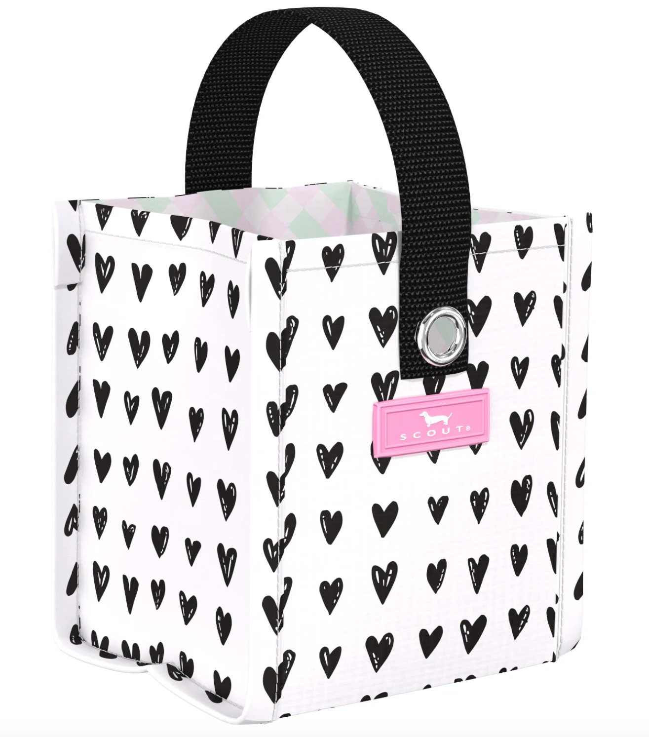 Scout Mini Package